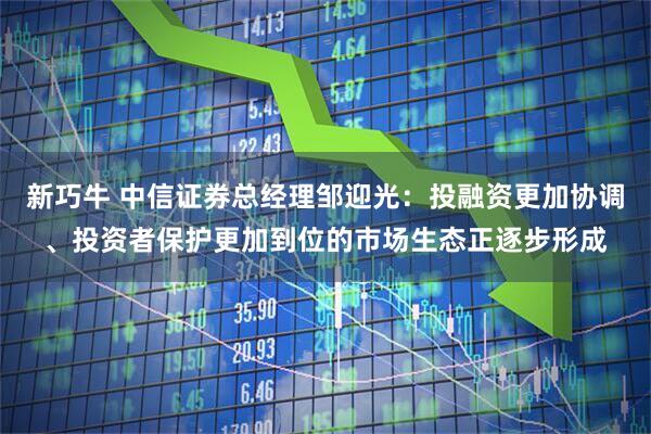 新巧牛 中信证券总经理邹迎光：投融资更加协调、投资者保护更加到位的市场生态正逐步形成