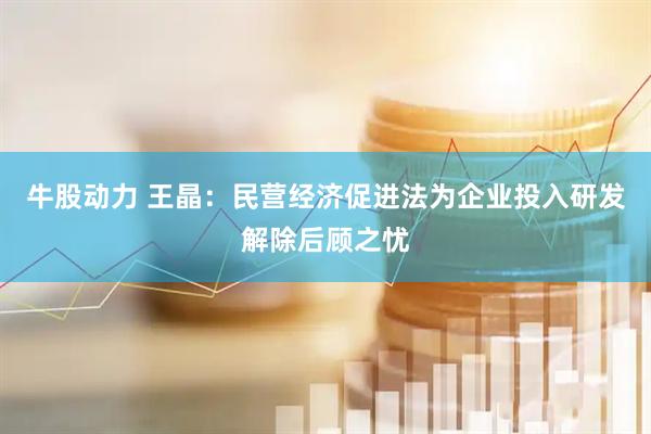 牛股动力 王晶：民营经济促进法为企业投入研发解除后顾之忧
