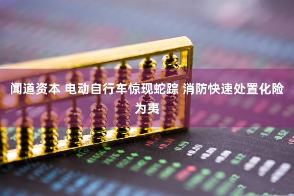 闻道资本 电动自行车惊现蛇踪 消防快速处置化险为夷