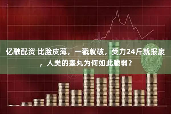 亿融配资 比脸皮薄，一戳就破，受力24斤就报废，人类的睾丸为何如此脆弱？